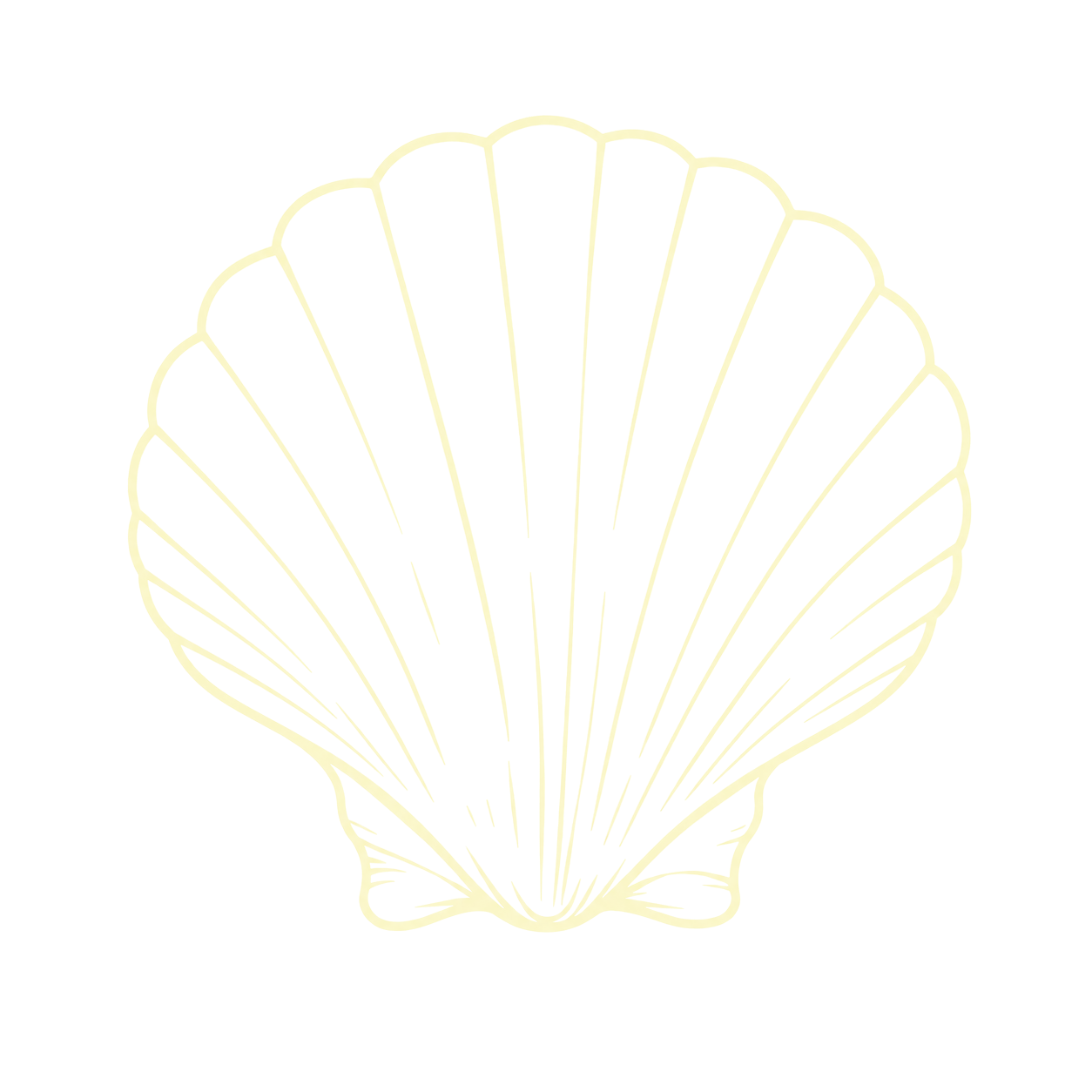 Jakobsmuschel